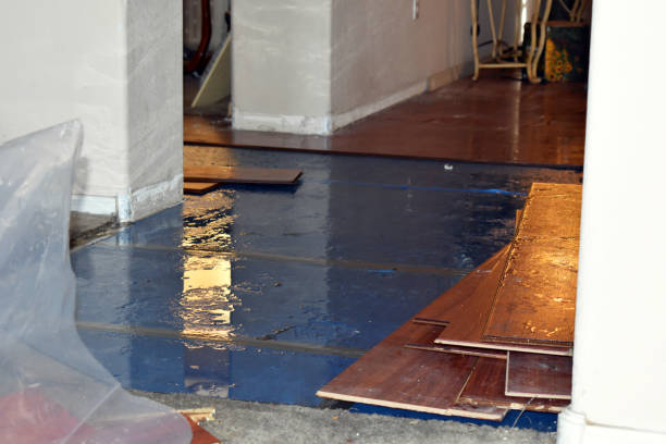 Professional Sewage Cleanup technician working in Dover, MO